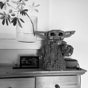 Meet your Posher, Noah